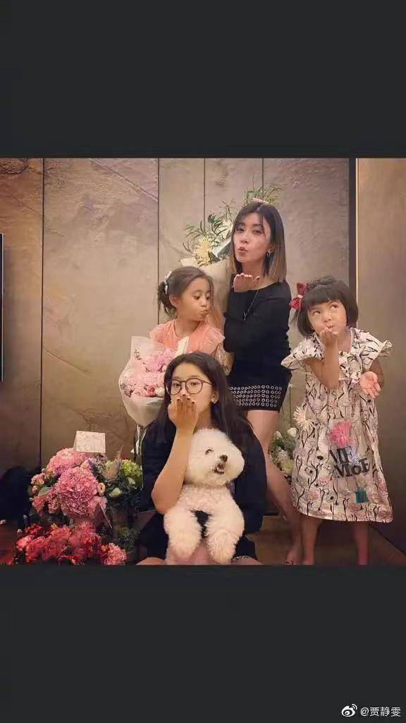 长女梧桐妹颜值逆袭,布布和波妞长高不少.