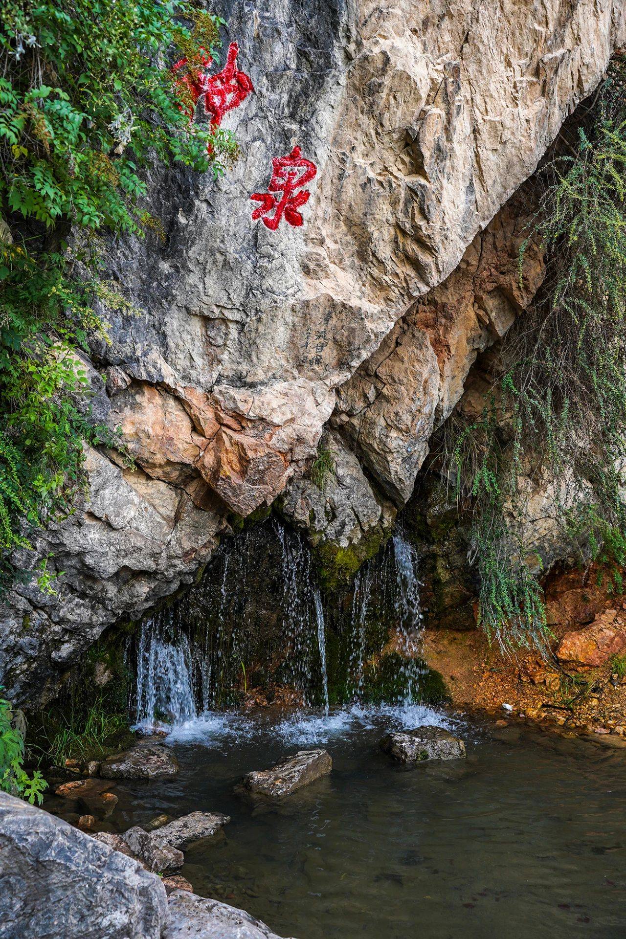 甘肃南部有个风光极美的天池,不输新疆,这里还有神秘的传说_冶海_冶力