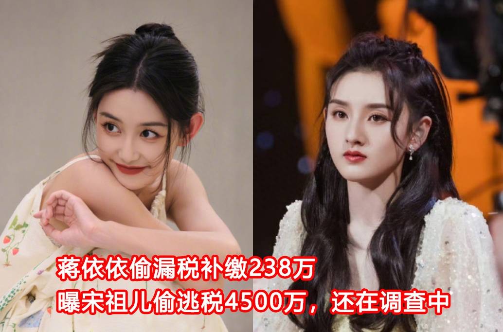 曝那英补税1266万,王宝强补税1094万,鹿晗狂赚8亿补税最多_收入_蒋