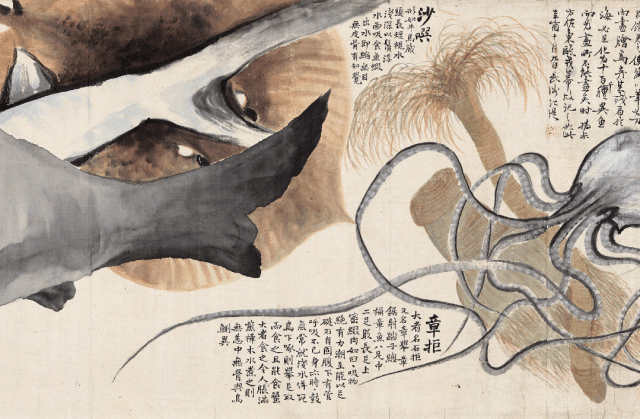 赵之谦 异鱼图丨中国嘉德春拍字画回顾_藏品_以藏_书画