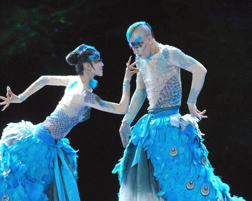 杨丽萍上台没穿衣服?