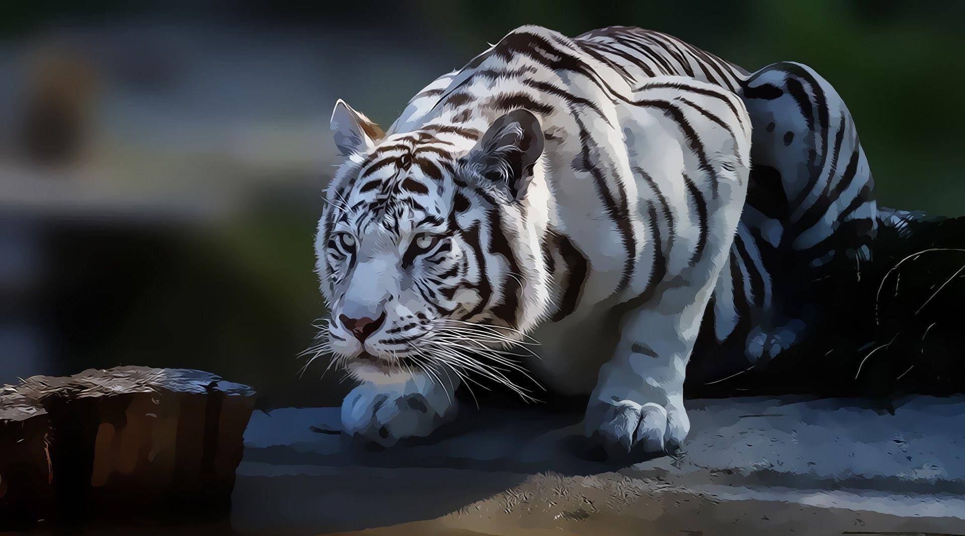 中国古代神兽在印度被发现,被迫近亲交配,赚取门票_莫汗_进行_人们