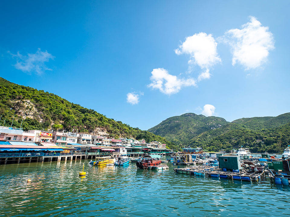 天運旅遊與您一同踏上香港南丫島徒步之旅_榕樹_洪聖爺_風情