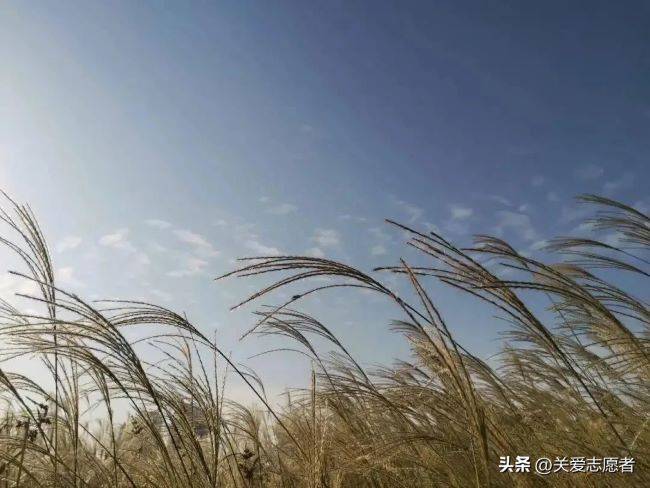 2021年9月7日白露中原福塔祥云绕,豫见明天更辉煌.