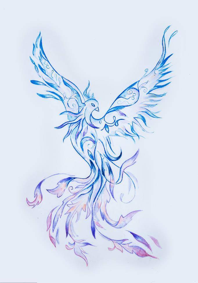 凤凰的第九子是上古邪鸟,传说死在了青丘_孔雀_大鹏_形象