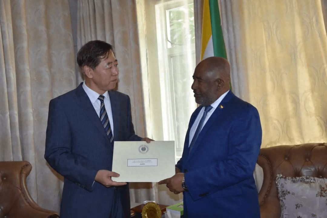 (科摩罗总统阿扎利会见我国驻科摩罗大使)事实上,欧盟之所以把目标