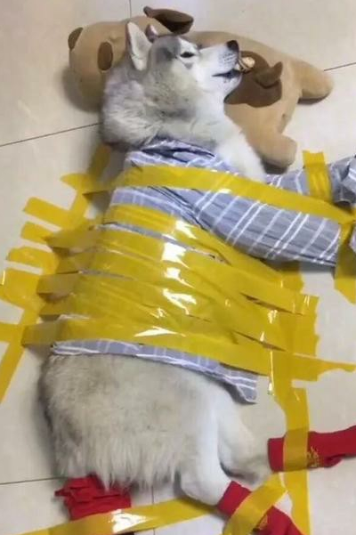 幽默笑话:大雄如此劣迹斑斑,为什么机器猫还要一直帮他啊!