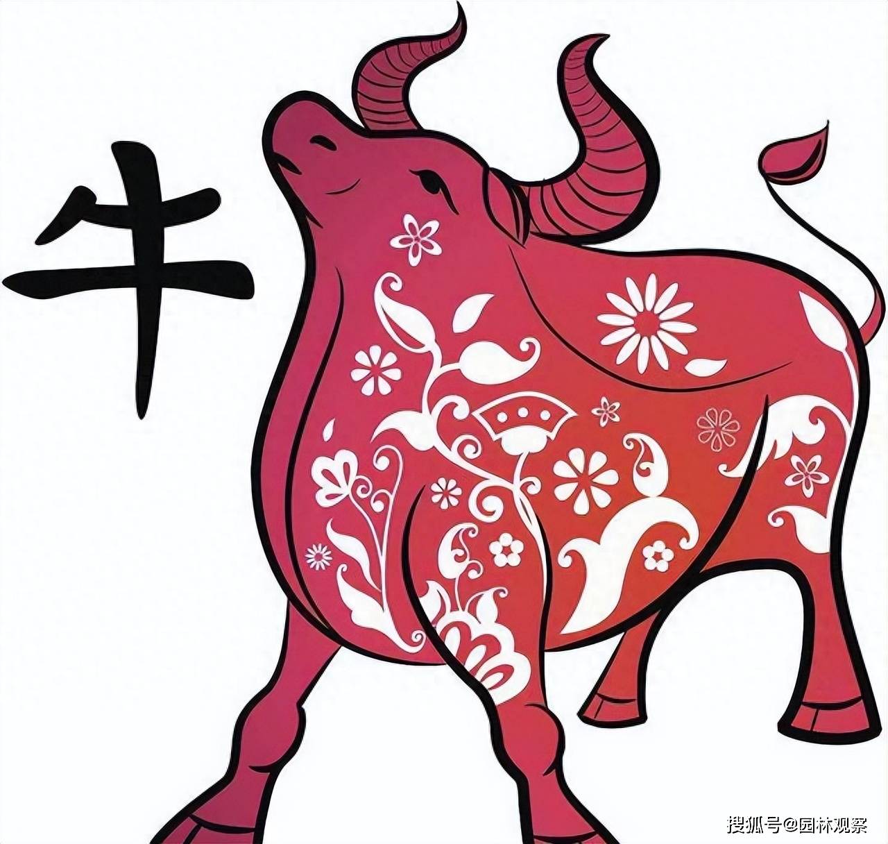 生肖属牛的人,家里养哪些植物能旺财运?_五行_财富_属性