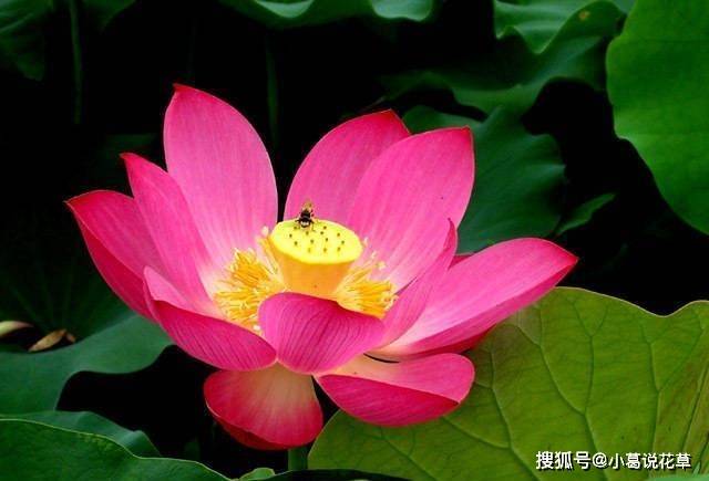 温柔又美丽的朋友圈文案