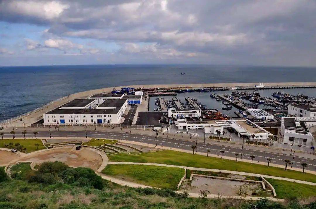 轮胎公司回应:项目未受影响_丹吉尔_麒麟_港口