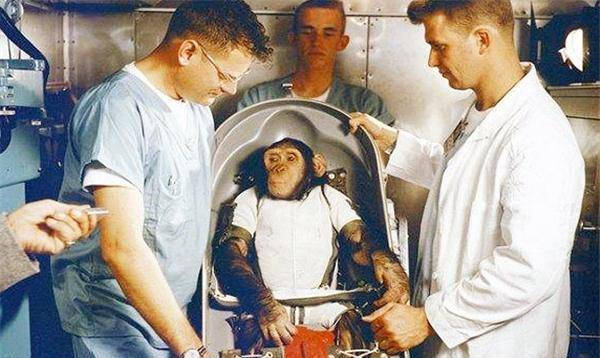 苏联科学家进行人与黑猩猩后代实验,找了5个女孩,如今现状如何