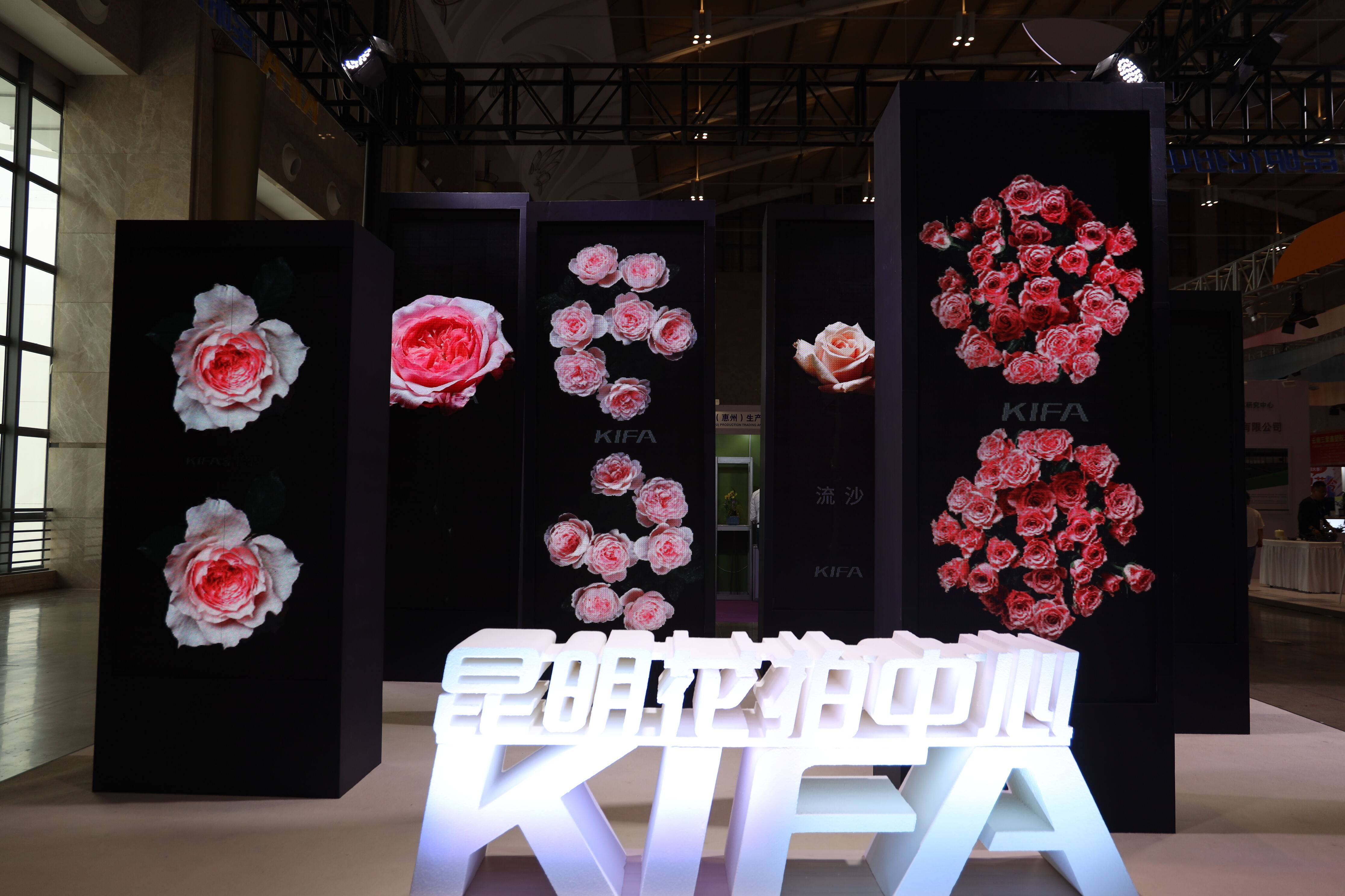 昆明国际花卉展 | 昆明花拍中心展现不一样的"云花魅力"_产业_交易