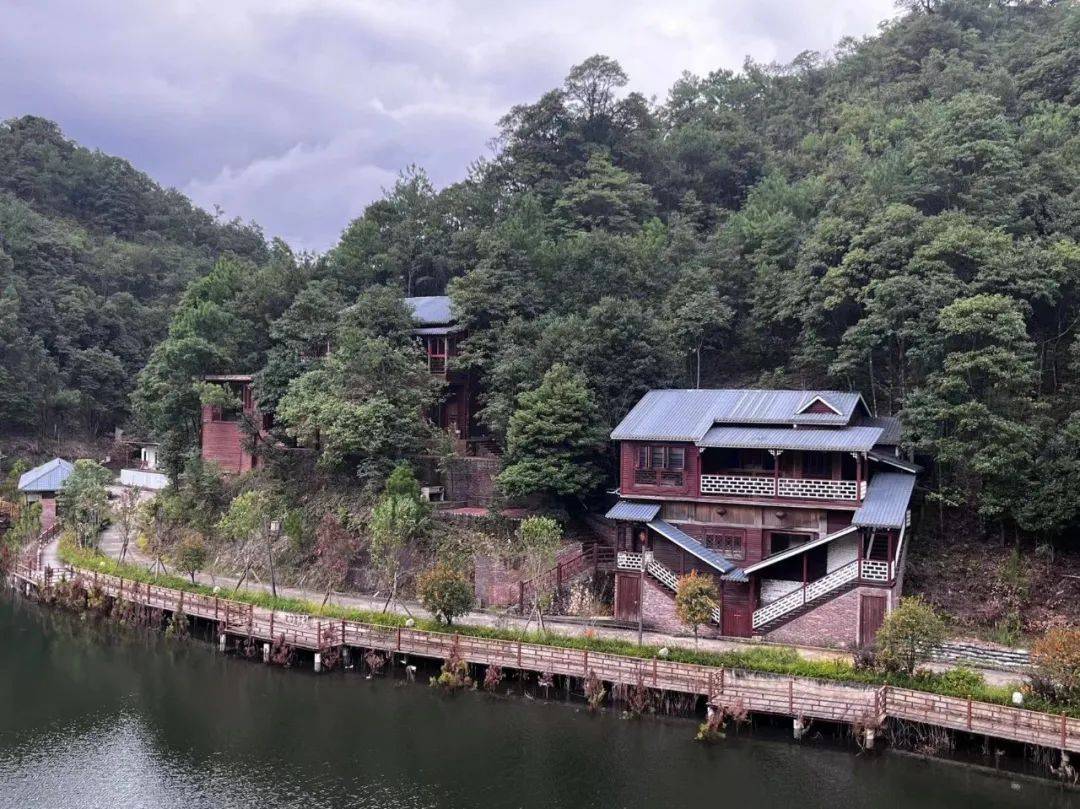 岩山镇发展特色民宿 激活乡村振兴新动能_旅游_康养_生态