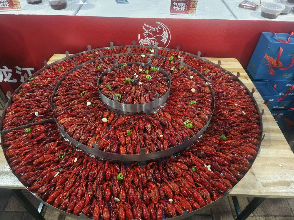 哈尔滨宾县首届寒地小龙虾美食节盛大开幕_黑龙江_水产_总站
