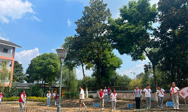 都江堰市聚源小学:让劳动教育为学生的成长赋能_活动_实践_引导