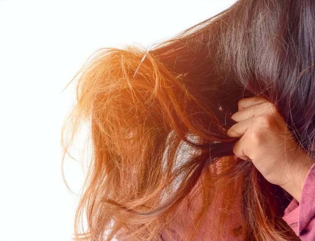 头发干枯像草一样怎么办?11大护发技巧帮你解决!