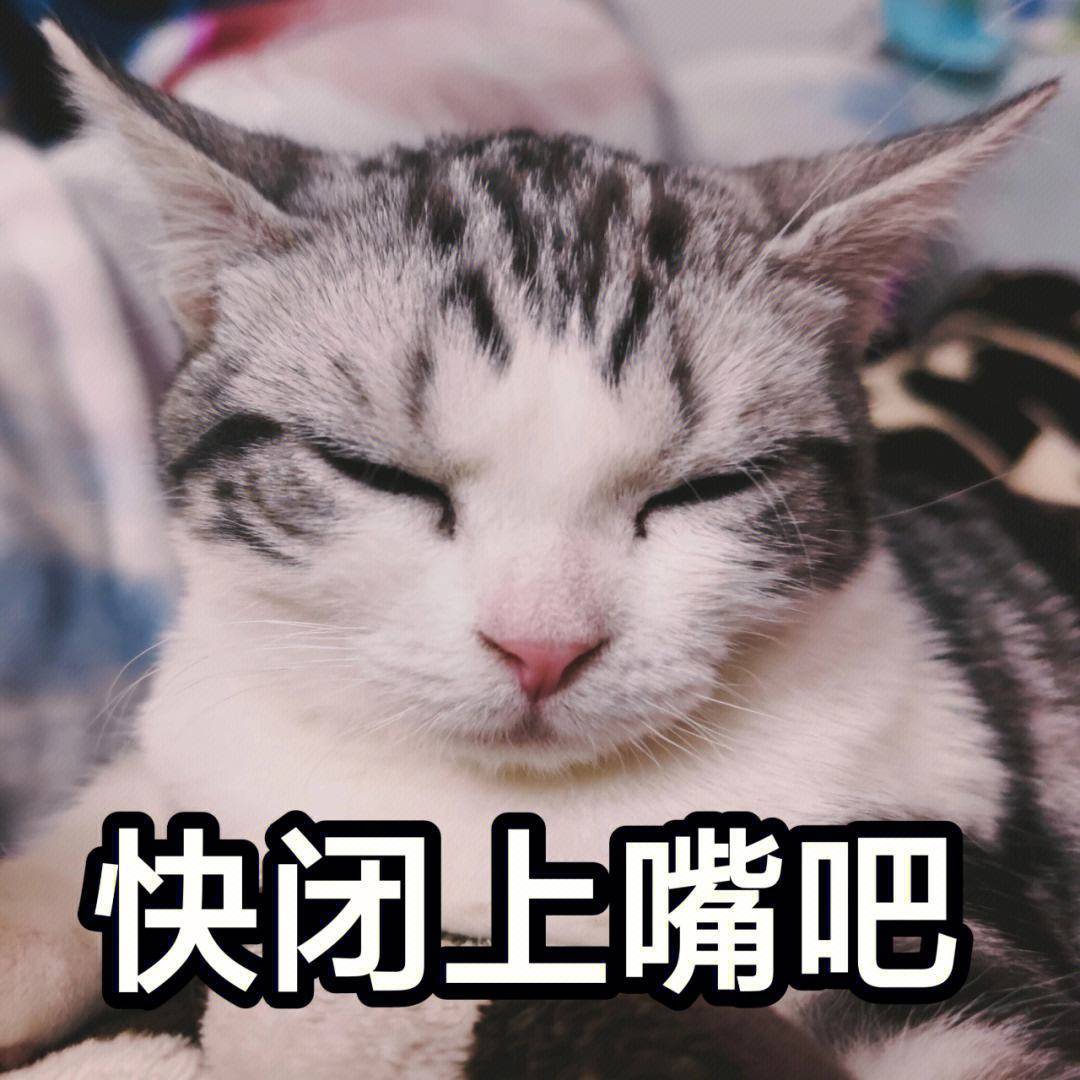 搞笑推荐:今天是和老婆新婚的第三天,一大早和老婆一起回了老丈人家