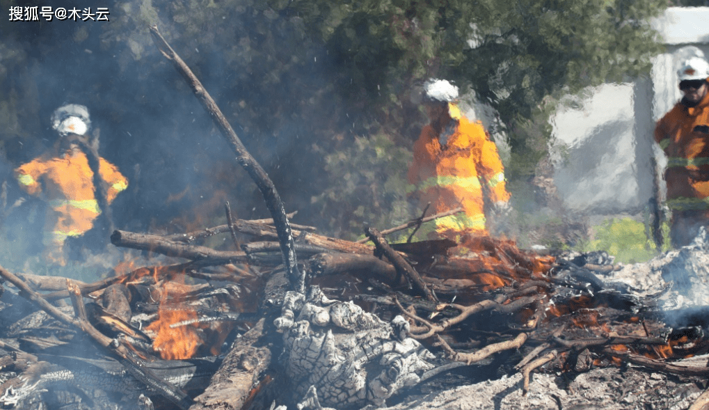 此前澳大利亚在经历了近4个月的灾难性山火后,截至2023年仍未完全恢复