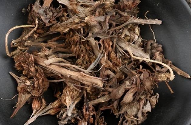 老家房顶长出此草,请珍惜重视,它是"太岁草",极为珍贵!