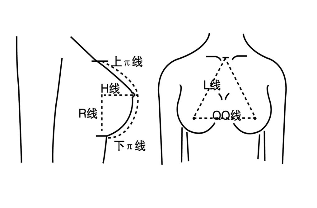 左乳10点方向位置图图片