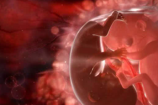 相信很多孕妈妈都知道,在怀孕期间去医院产检的时候会有b超检查,这个