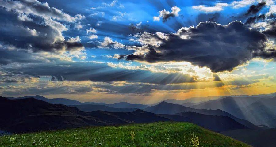 家电厂商是时候彻底抛弃幻想了-家电圈官网