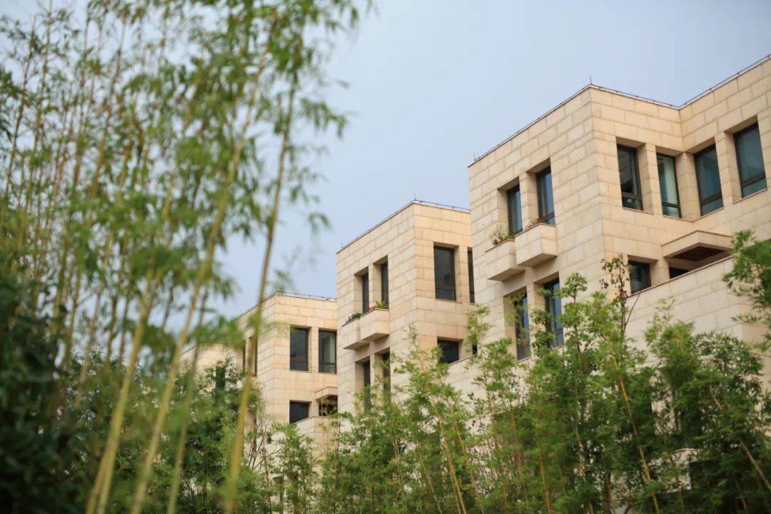 上海大宁揽翠艺墅为什么这么火丨静安大宁揽翠艺墅优势在哪里丨深度