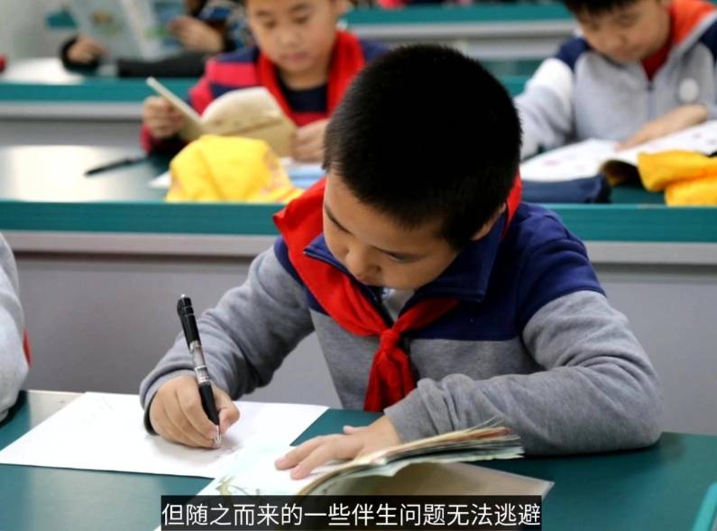 原创            小学生简历惊艳大学生，6年级雅思满分，网友：小丑竟是我自己