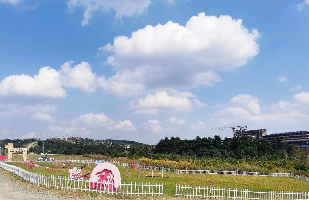 长春新增一宠物公园!目前免费开放……_狗狗_训练_莲花山