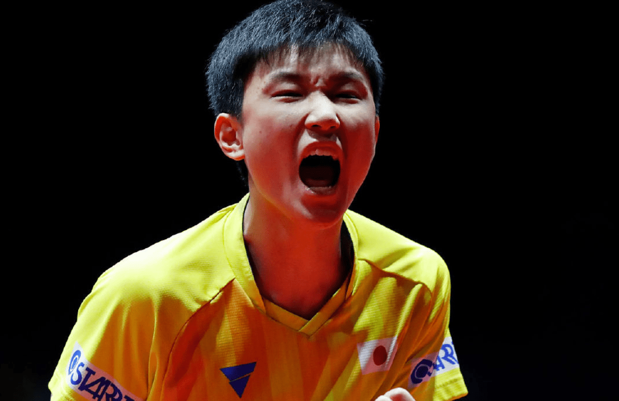 日媒评是张本智和的耻辱,引网友辣评_乒乓_球员_中国