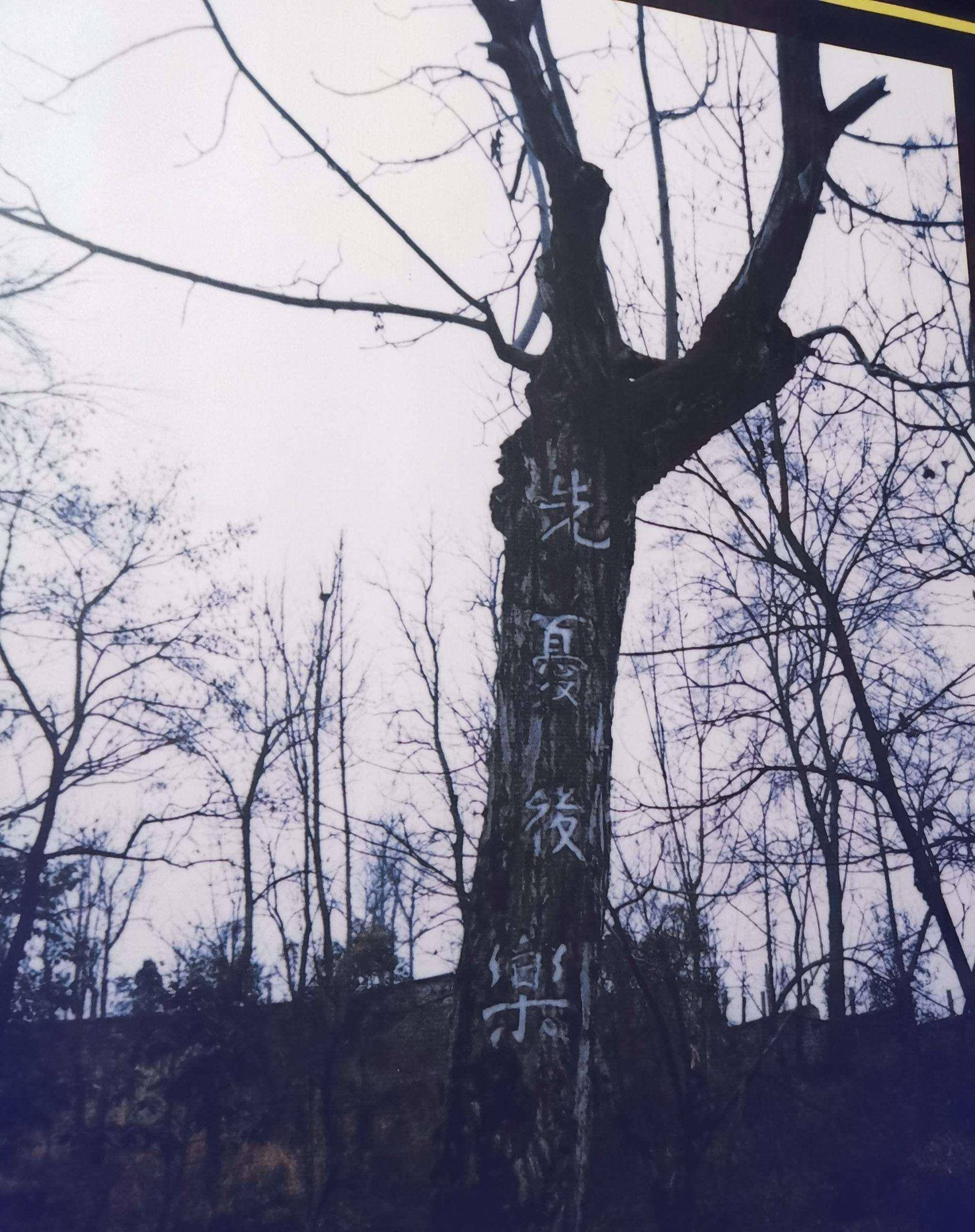 1981年,一老妇在白公馆展厅指着一张照片痛哭:晓轩,我来看你了_姜绮华