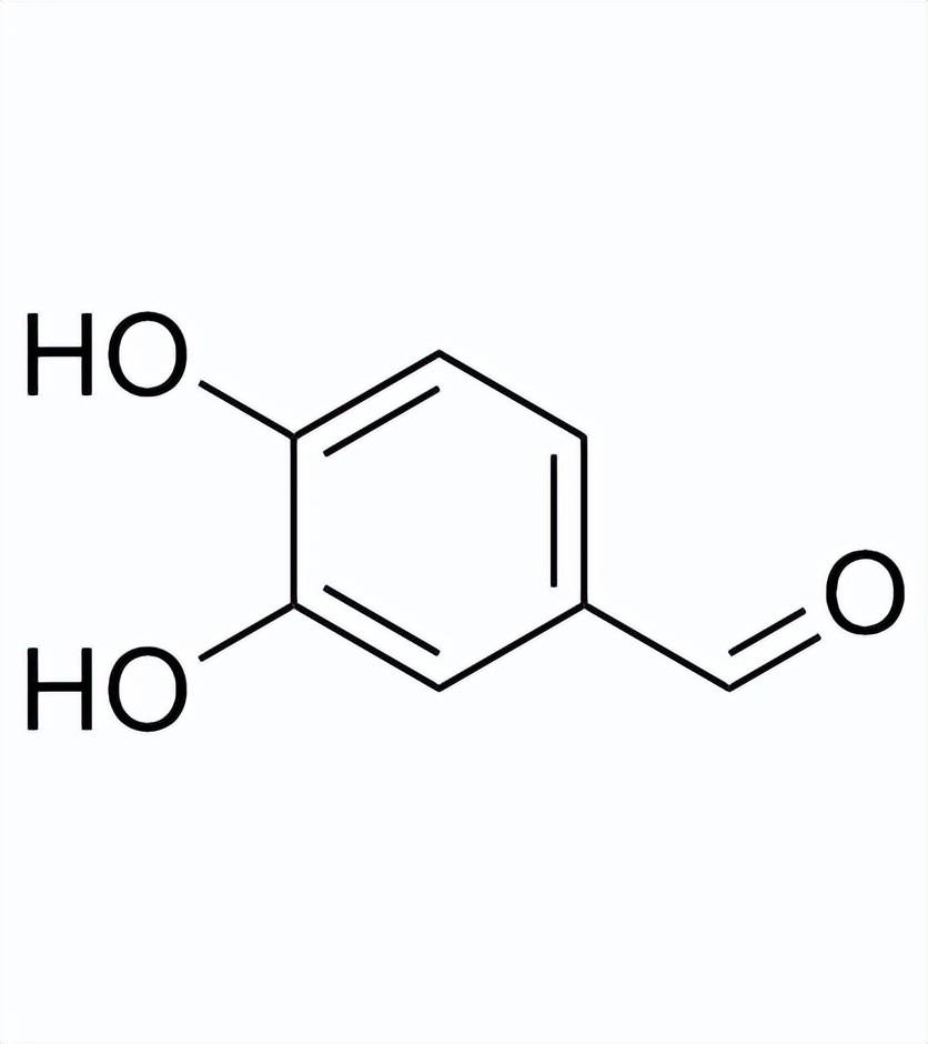 邻苯二酚的结构简式图片