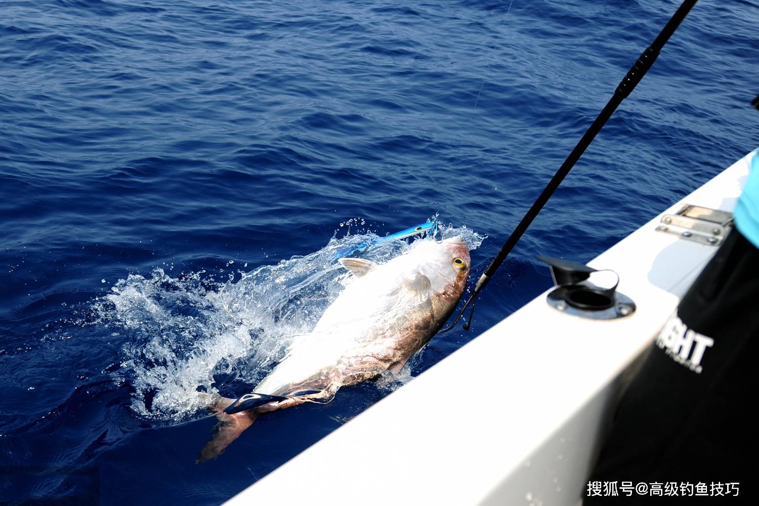中秋前后海钓的5句口诀,海钓鱼获满满_海鱼_鱼群_鱼冷丁