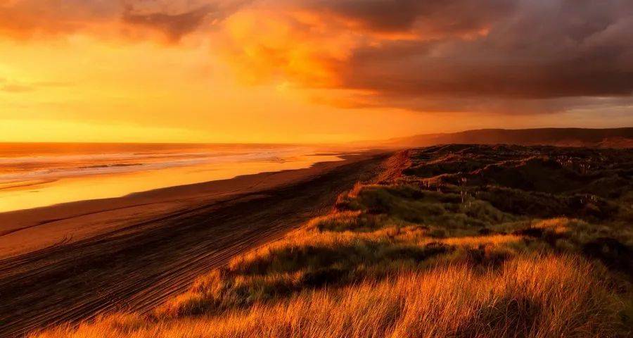 今年四季度家电市场有3个看点-家电圈官网