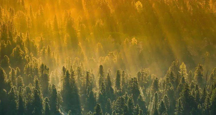 今年中秋国庆家电市场没出现意外-家电圈官网