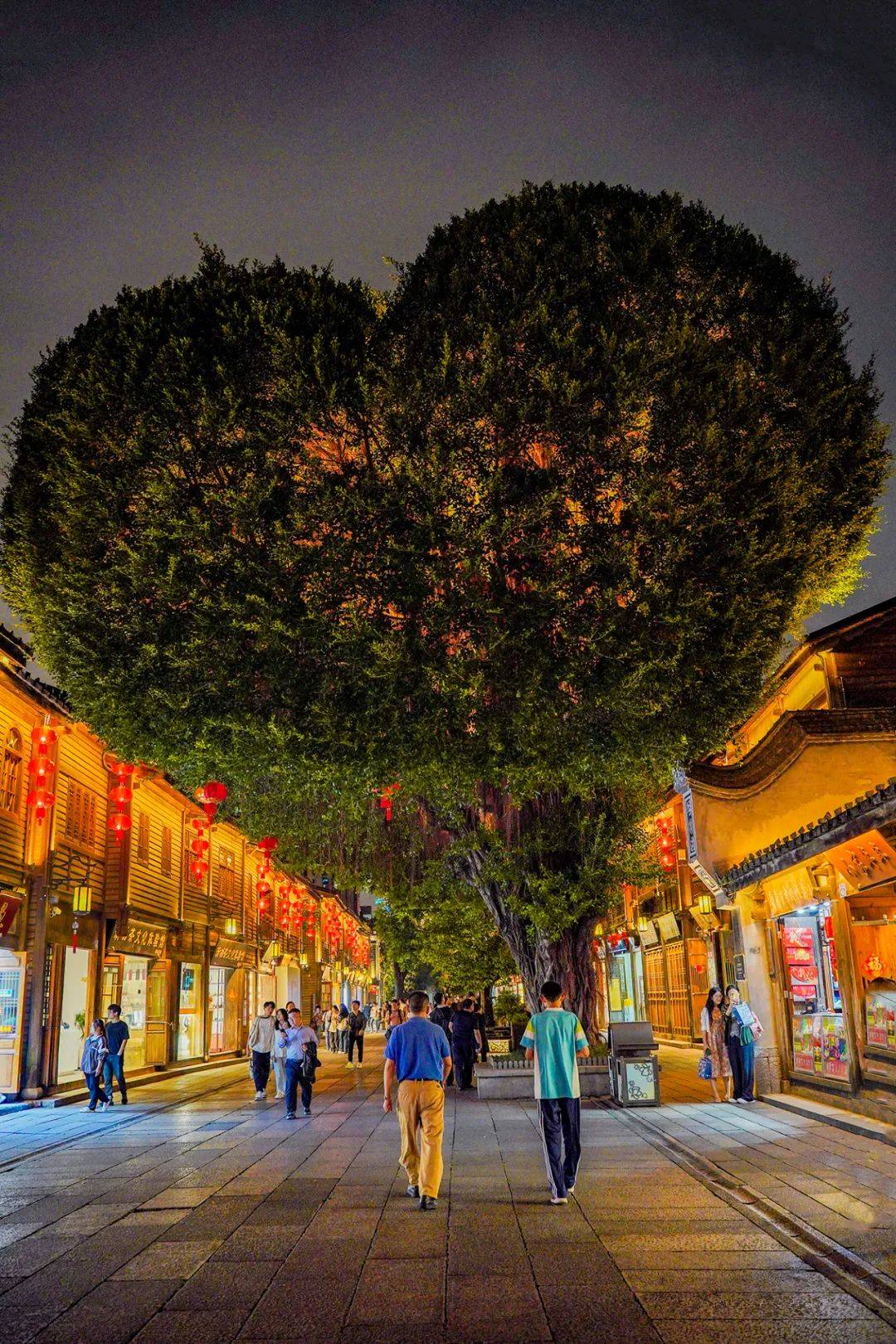导游_戏台_夜锦