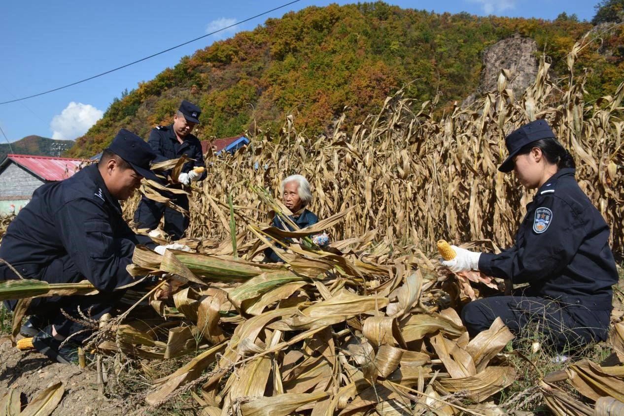 民警化身庄稼汉 及时助困解民忧