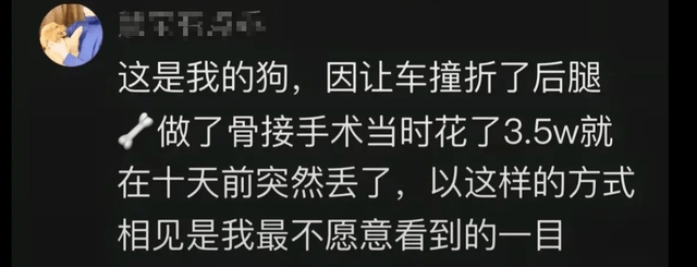 网友买的狗肉里有铁螺丝,主人看到泪崩:它生前做的手术,刚走丢 网友买的狗肉里有铁螺丝,主人看到泪崩:它生前做的手术,刚走丢