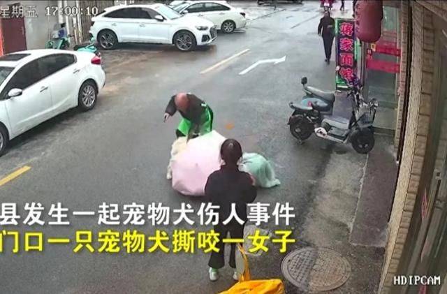 江苏盐城女子路边被宠物狗撕咬,脸部撕裂翻滚在地,双腿颤抖捂脸哀嚎