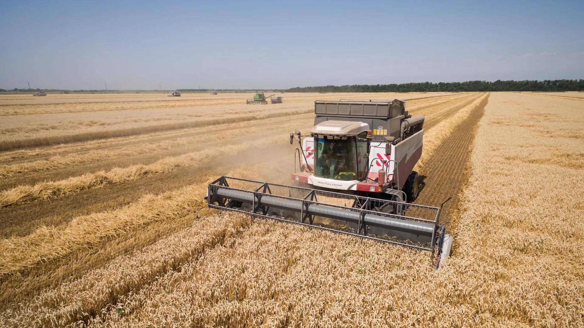 今年前八个月俄罗斯对华农产品出口量达去年同期的2.