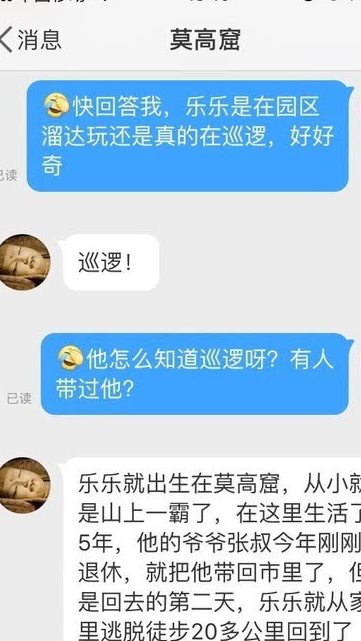 莫高窟真正的“守护者”,萌犬乐乐翻身成“网红” 莫高窟真正的“守护者”,萌犬乐乐翻身成“网红”