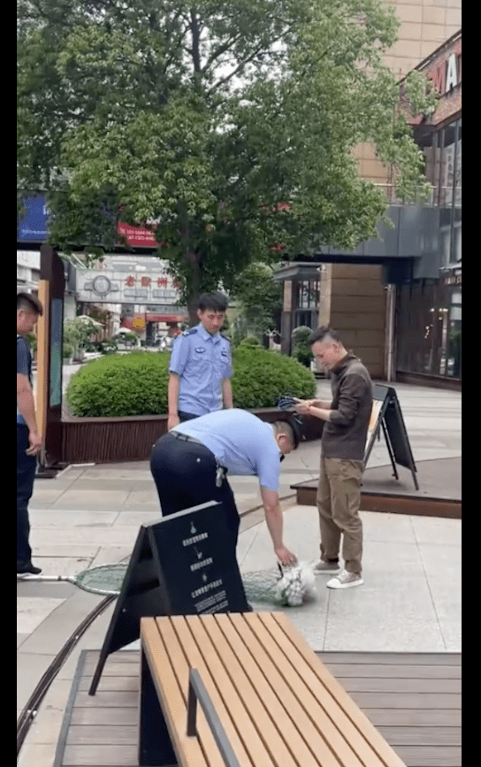 狗狗因没拴绳被城管抓住,而主人正在旁边喝咖啡,狗绳就在手边! 狗狗因没拴绳被城管抓住,而主人正在旁边喝咖啡,狗绳就在手边!