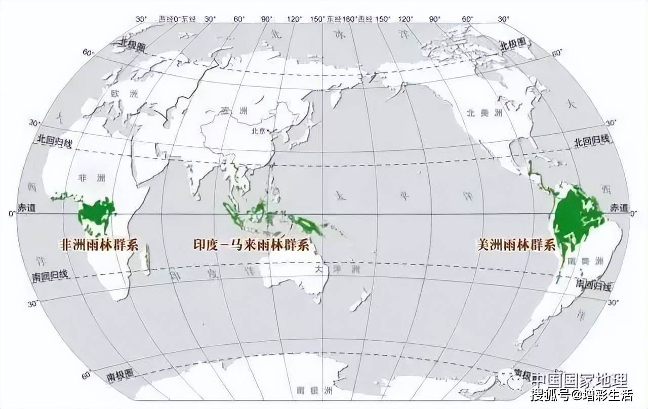 雨林地图 原图图片