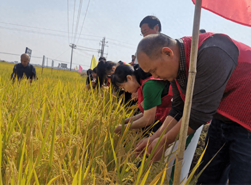 "湘潭县2023世界粮食日和全国粮食安全周"启动仪式在山塘小学举行