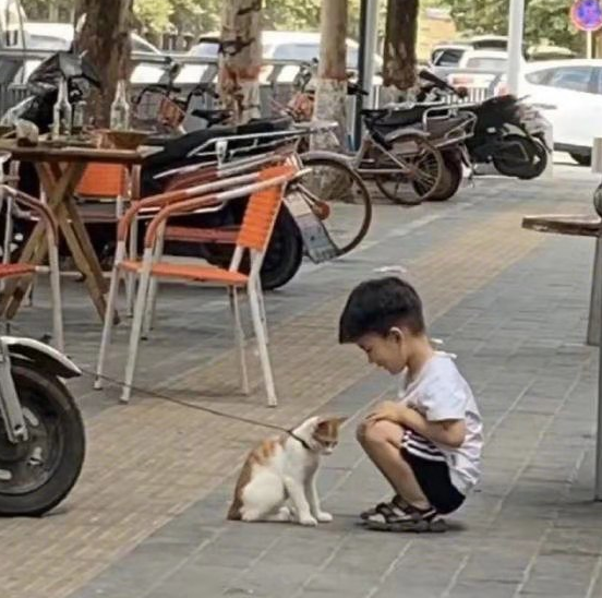 家中小猫送人后孩子第二天没回家,父亲出门看到一幕感动落泪 家中小猫送人后孩子第二天没回家,父亲出门看到一幕感动落泪