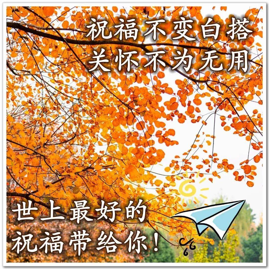 9张最美秋日风景早安图片带字带祝福语 好看的秋天风景早上好问候祝福