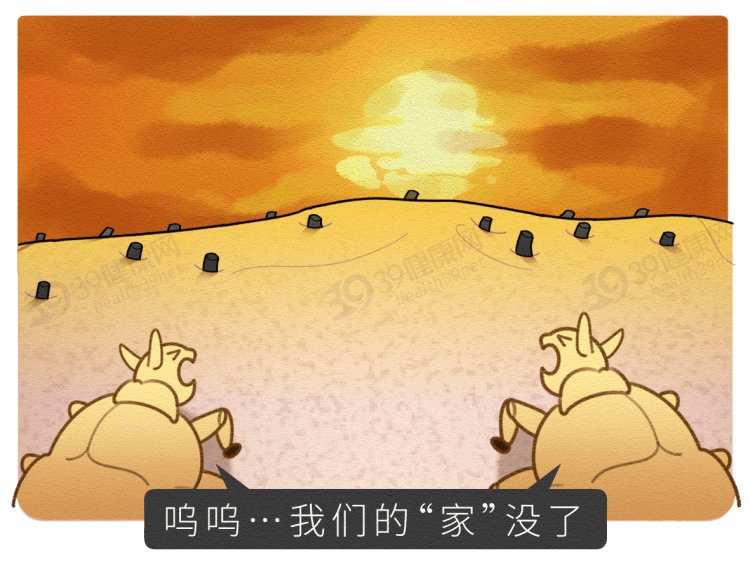 可以刮掉吗?_毛发_私处_影响