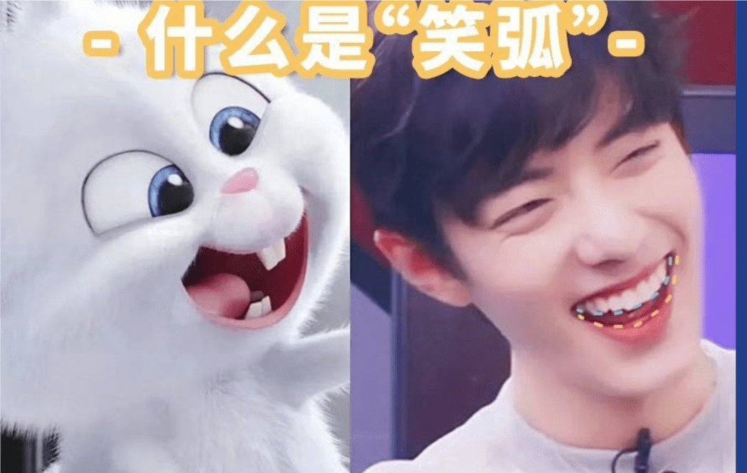 的特点_门牙_曲线