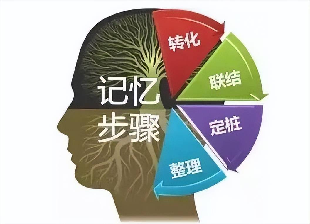 注意力与记忆力在各脑区的转化过程-脑博士_大脑_各种信息_存储