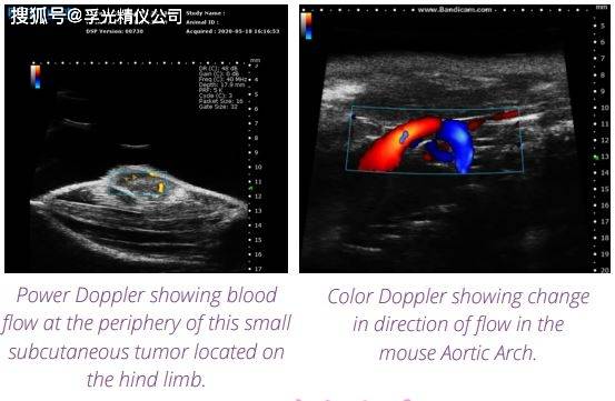 详情搜索联系 辅光仪器小动物超声成像系统配备了标准超声功能,包括b